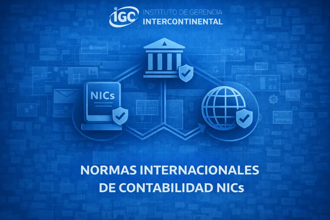 Imagen de Normas Internacionales de Contabilidad NICs